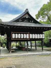 First Blooms of Spring at Goryo Shrine (Kamigoryo Shrine)