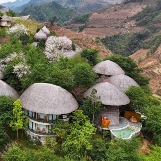 Garrya Mù Cang Chải