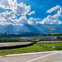 Dali: A Cultural and Scenic Gem in Yunnan