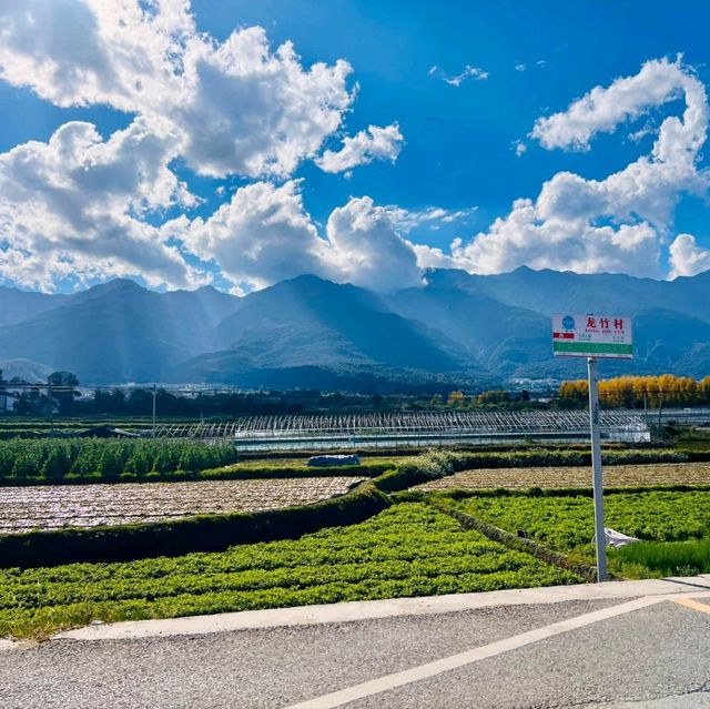 Dali: A Cultural and Scenic Gem in Yunnan