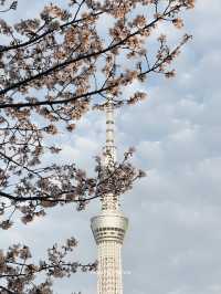 TOKYO SKY TREE