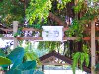 The River Wild Cafe'