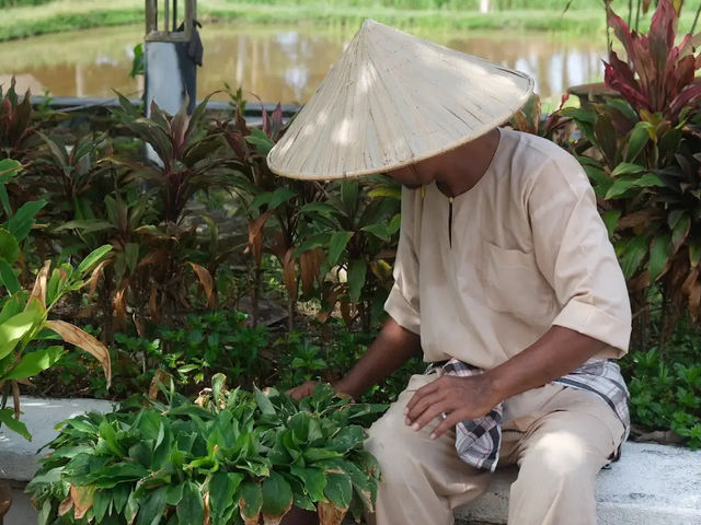 Laman Padi Langkawi