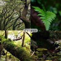 Erziping Trail 