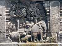 Borobudur Temple