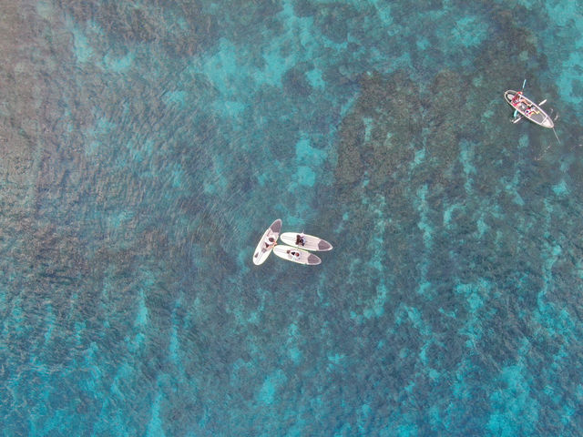 【小琉球三天兩夜】SUP、潛水、美食、電動腳踏車環島全紀錄