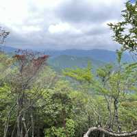🌰【栗の木岳】 まつさかイレブン