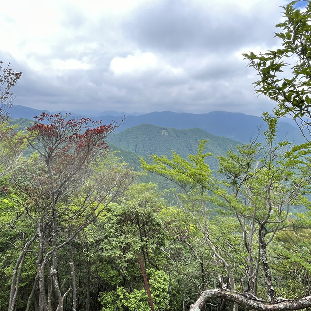 🌰【栗の木岳】 まつさかイレブン