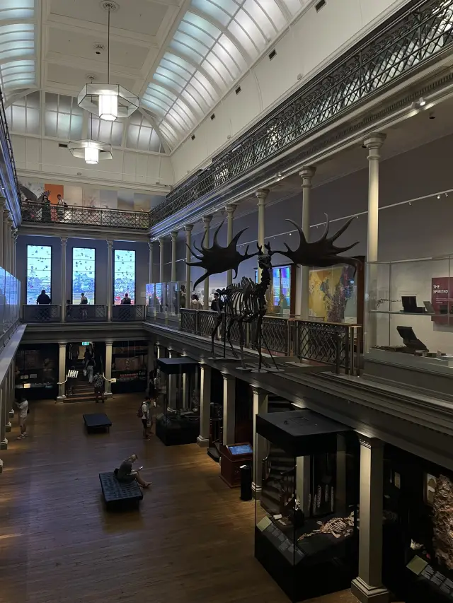 澳洲悉尼市區好去處｜Australian Museum親子必參觀🦖