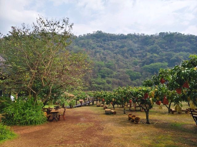 BAANKHAOFAE บ้านข้าวเฟ่