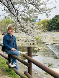 Perfect Spot for a Peaceful Walk or Rest within the City.
