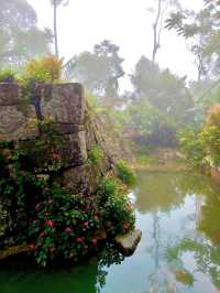 Misty Moments in a Hidden Japanese Village Above the Clouds