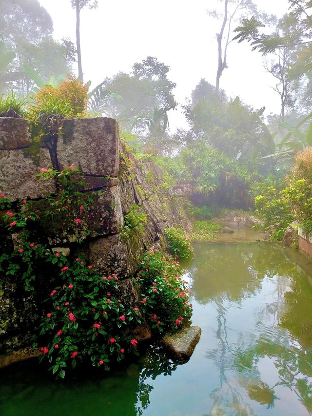 Misty Moments in a Hidden Japanese Village Above the Clouds
