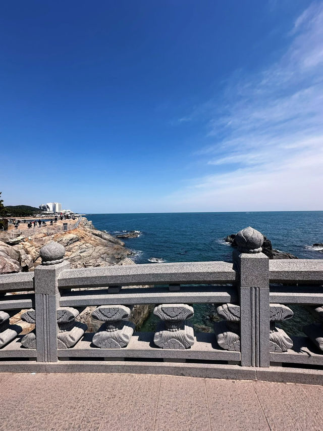 Spring Magic at Korea’s Most Beautiful Seaside Temple 