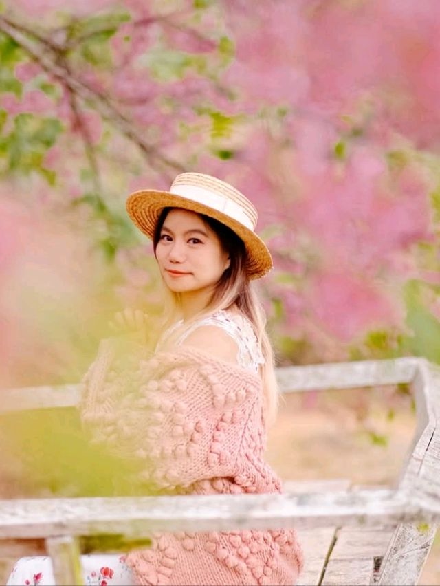 ขุนวาง ชียงใหม่