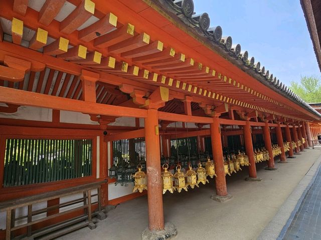 奈良~親親大自然，探訪可愛小鹿和歷史文化遺產的地方。