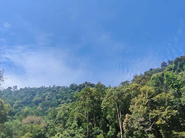 💦 Waterfall Woes & Whoas: My Splashy Day at Chamang 🌿🌈