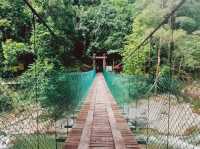 💦 Waterfall Woes & Whoas: My Splashy Day at Chamang 🌿🌈