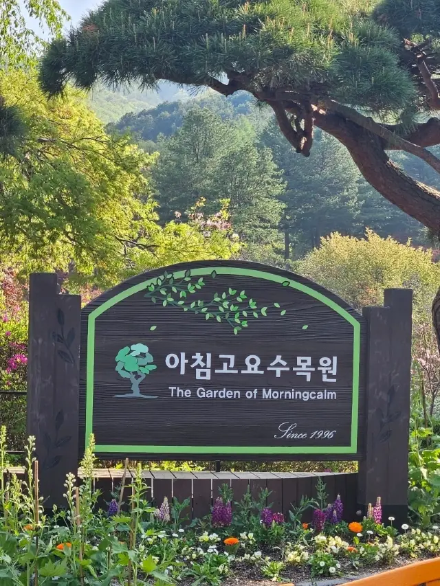 2025년 4월의 아침고요수목원