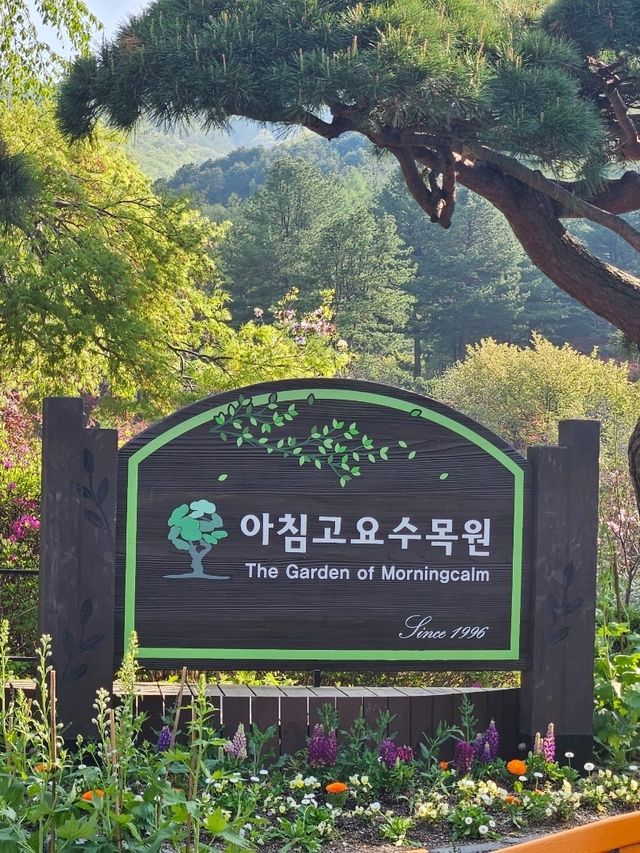 2025년 4월의 아침고요수목원