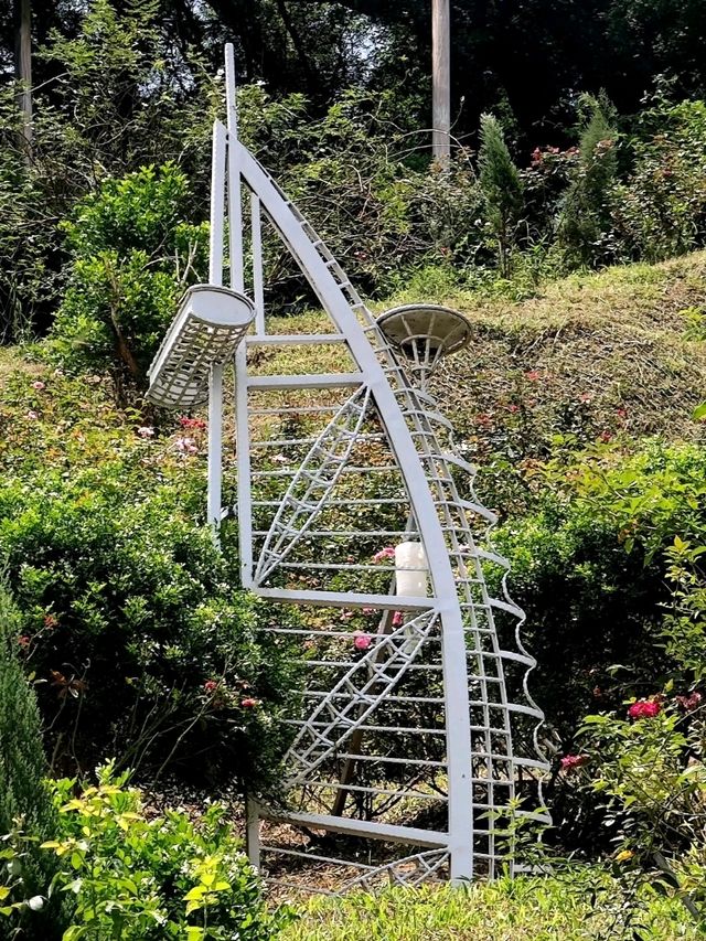 #雅聞七里香玫瑰森林-苗栗縣頭屋鄉