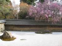 🌿 Ryoan-ji: Kyoto’s Zen Mystery in 15 Rocks 🌿