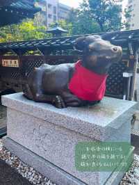 合格祈願の神社として有名⛩️湯島天満宮