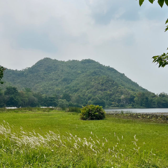 คาเฟ่ลับกาญจนบุรี 🌳🍃 𝗛𝗶𝗱𝗱𝗲𝗻 𝗖𝗮𝗳𝗲 