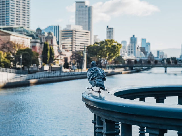 淺度探訪了大阪城中景點 😍