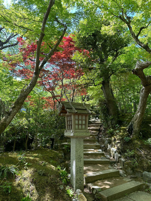 Hidden Temple In Arashiyama