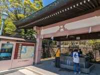 【鹿児島】大きな鳥居の照國神社でお参り