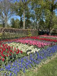 A day in Keukenhof