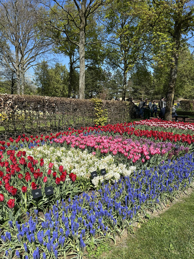 A day in Keukenhof