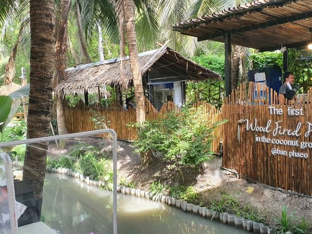 คาเฟ่ในสวนมะพร้าว บ้านสวนพาฝัน