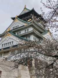 大阪城公園历史與自然的完美融合