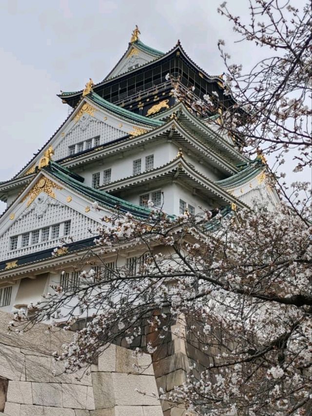 大阪城公園历史與自然的完美融合