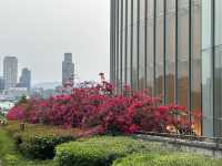 香港好去處 | 金鐘 | 添馬公園舞動水滴展