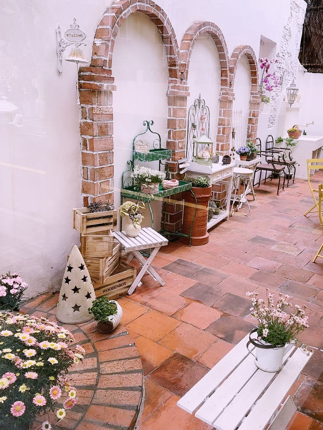🌤️ Spring Strolls in Shanghai ☕🌸