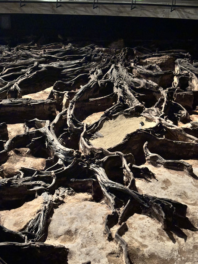 🌳 探索史前森林！仙台「地底之森博物館」穿越時空之旅