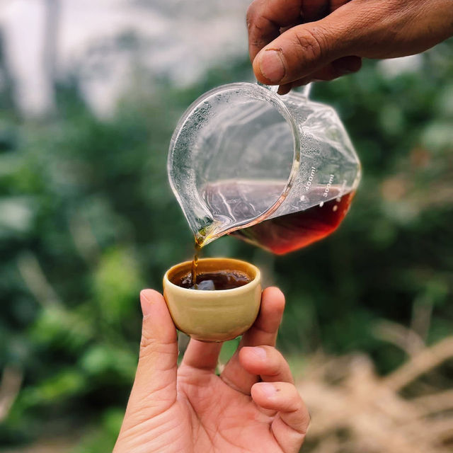 LEEPEE FARM ฟาร์มกาแฟพิเศษ ณ ดอยช้าง