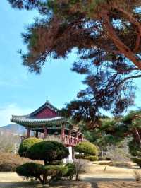 초록에 둘러싸여 걷는 예술 산책길
