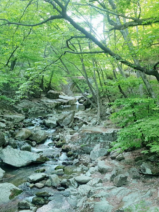 단아한 천년고찰 순천 선암사