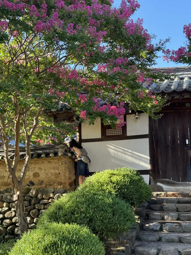 Daegu 1-Night, 2-Day Trip: Here's How to Do It