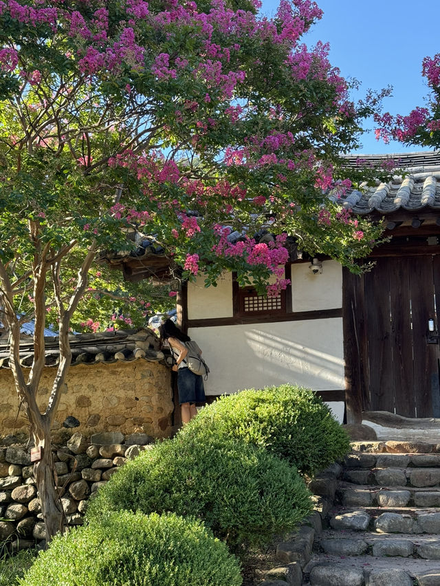 대구 일박이일 여행 이렇게만 가세요 ‼️