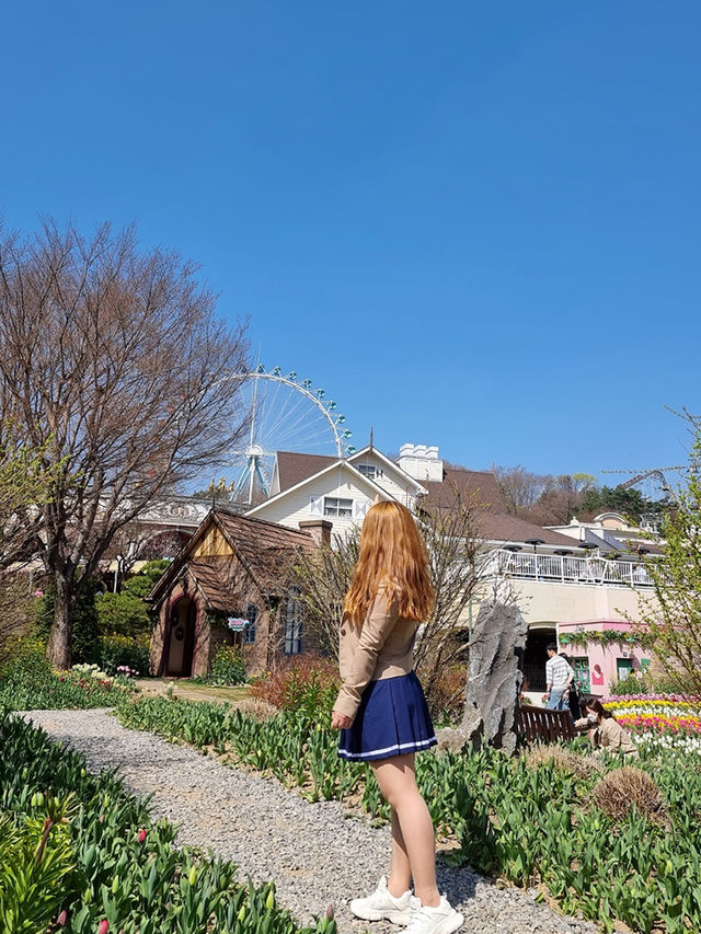 네덜란드 갈 필요 없어요🌷에버랜드 튤립 축제 완전 정복