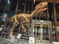 驚喜的恐龍化石展品🦖✨