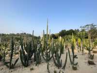 東莞植物園～賞花必去！