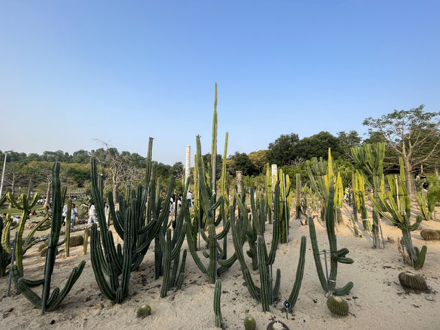 東莞植物園～賞花必去！
