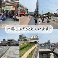 【水原🇰🇷 水原華城】世界遺産☺️ずっと行きたかった水原へ