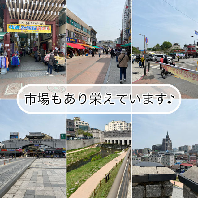 【水原🇰🇷 水原華城】世界遺産☺️ずっと行きたかった水原へ